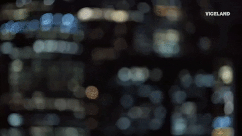 viceland GIF by Hustle