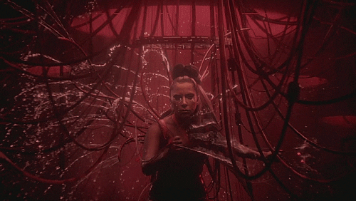 aqui_no3 giphyupload GIF