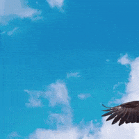 Happy In The Sky GIF by Rockharbortv