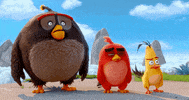 GIF by Angry Birds