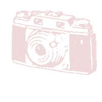 Happy Photography Sticker by The Silver Sixpence Curvy Bridal Boutique