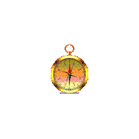 Compass Navigation Sticker by Hunter