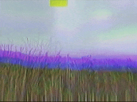Footage Oaf GIF by jorgemariozuleta