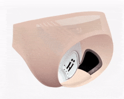HASTKO horse innovation underwear cheval GIF