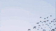 Punk Rock GIF by Pure Noise Records