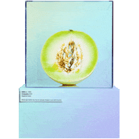 Sad Song Melon Sticker by EBEN