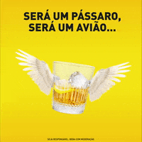 Portugal Amigos GIF by Licor Beirão