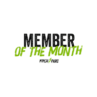 Ninjawarriorau Sticker by Ninja Parc