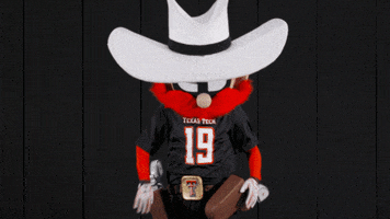TexasTechRedRaiders texas tech red raiders raider red GIF