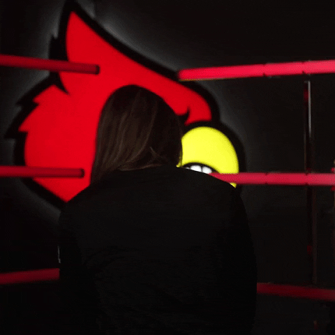 University Of Louisville GIF by Louisville Cardinals