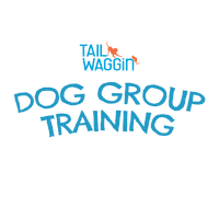 Dog Group Training Sticker by Tail Waggin'