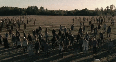 the walking dead zombie GIF
