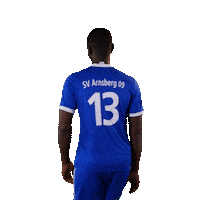 SV_Arnsberg_09 fussball jubel bier adler Sticker