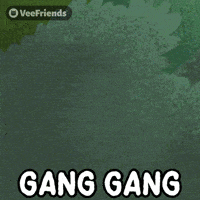 Appear Gang Gang GIF by VeeFriends