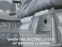 nickrewind nicksplat angry beaver GIF