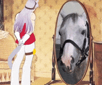 Looking White Horse GIF