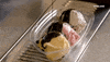 GIF by THE ICE CREAM SHOW