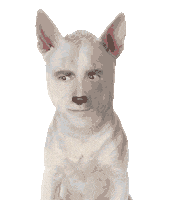 Jon Sistiaga Yes Sticker by Movistar+