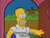 Season 2 Episode 13 GIF by The Simpsons