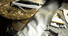 Smash Music Video GIF by Pure Noise Records