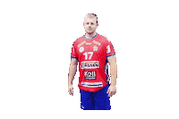 Handball H Sticker by hsg swrd