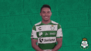clubsantos  GIF