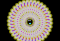 GIF by A.M.T.G. G.G.