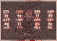 GIF by A.M.T.G. G.G.