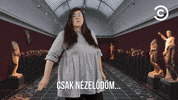 comedycentralmagyarorszag comedycentral dumaszinhaz comedycentralgifgyujtemeny comedycentralhungary GIF