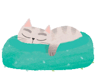 Cat Sleeping Sticker by Flying Eye Books