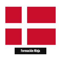 Denmark Flag Sticker by Formación Ninja
