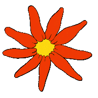 Flower Hollis Sticker by Jamie Wolfe