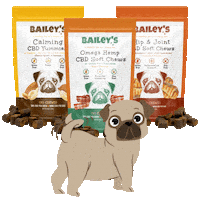 Pets Pug Sticker by Bailey's CBD