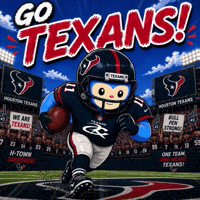 Houston Texans Football GIF by Respective