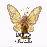 Wisdom Forgive Yourself GIF by BuddhaFlyJourney