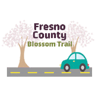 Central Valley Fresno Sticker by VisitFresnoCounty