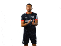 Bayer 04 Clapping GIF by Bayer 04 Leverkusen