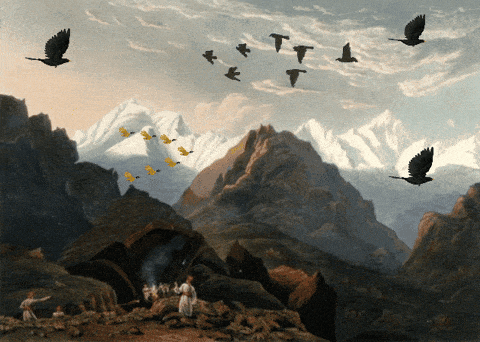 Fly Away Migrating Birds GIF by GIF IT UP