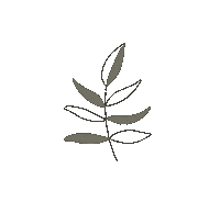 Leaf Boho Sticker