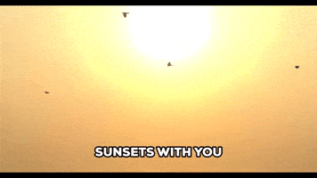 Cat Love GIF by saregama
