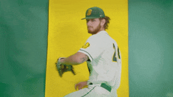 Baseball Bison GIF by NDSU Athletics