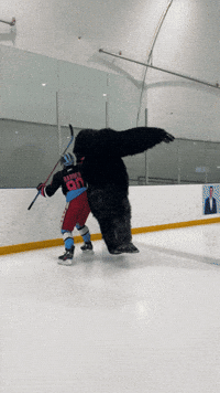 heroboardfitness hockey chubsuites beefclapper pavelbarber GIF