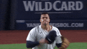 Celebrate New York Yankees GIF by MLB