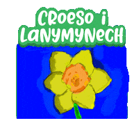 Ysgol Carreghwfa Sticker