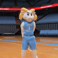 Lets Go Ncaa GIF by Wells Fargo