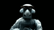 GIF by joerocco