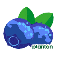 Brand Vegan Sticker by planton