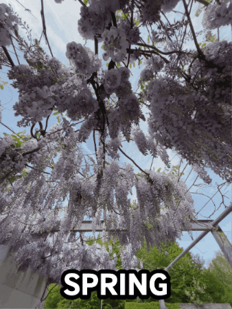 Spring Wow GIF by Linz News