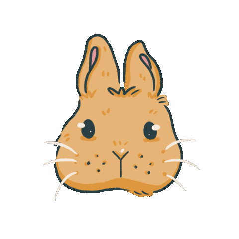 toastbutterco bunny rabbit cute bunny cute rabbit Sticker