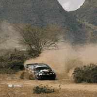 Sliding Full Throttle GIF by FIA World Rally Championship